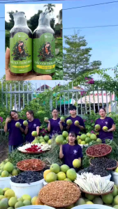 COMBO DẦU GỘI THẢO MỘC BỒ KẾT Ả ĐÀO NHA ĐAM GIẢM GÀU GIẢM RỤNG