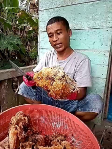 Madu Asli Murni Tanpa Campuran Langsung Peternak Netto 1 Kg