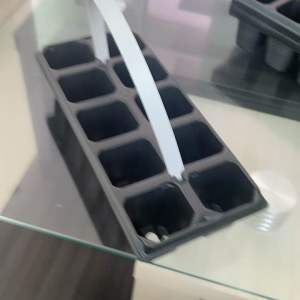 Pottray alat semai 10 hole plus handle