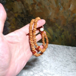 8.3mm "Double sides Lotus" seed (Gold Leaf Bodhi) 108 mala 2 rounds bracelet with natural Fresh Water Pearl and Nan Hong Pi Xiu & abacus beads  8.3毫米天然双面莲花(又名钱串子、金叶菩提、金钱菩提、招财纳福)108念珠绕手两圈手链配天然淡水珍珠、南红貔貅与算盘子