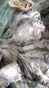 BULLAT DRIED FISH 500g organic Dried SeaFood