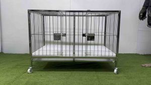2x3x2 ft 2door (3/4x3/4) frame stainless 304 dog cage
