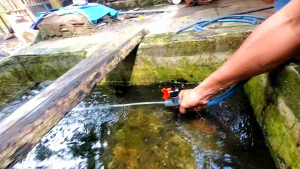 Venturi Kolam Ikan Serta Set Tee PVC & Vave Male