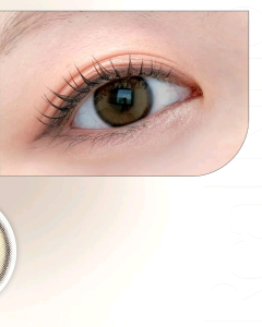 olens real ring brown monthly lens  (import from korea)