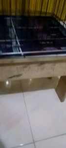 kandang gantung burung kutilang dll. bisa d.lipat uk/30 x46 d.cat cotting