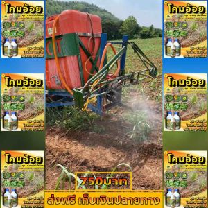 ชุดโคมอ้อย หญ้าในไร่อ้อยครบจบ ชุดเดียว