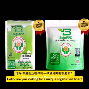 全植物 健康有机肥料 (适用于所有类型的农作物) 标准的PH平衡值 不含化学物质 和 致病原体 我们是马来西亚唯一一家获得有机肥料专利证书并通过ISO 9001-2015认证的公司 100% PURE ORGANIC FERTILISER (Suitable for All Types of Crops) perfect pH level free of chemicals and pathogens.BAJA PPK