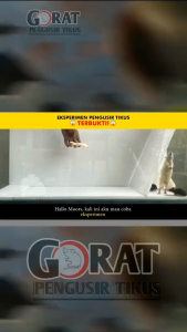 Pengusir Tikus Alami Obat Pengusir Anti Tikus Ampuh Disinfectant Spray Rat Repellent/Pengusir Tikus/Cairan Anti Tikus Mobil 250ml