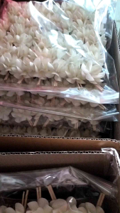 ดอกกุหลาบ  1 แพ็ค มี 500 ดอก ราคาพิเศษ ราคาส่ง ราคาปลีก ดอกไม้จันทน์ ดอกไม้ ร้านดอกไม้ ดอกพุด