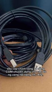 Dây cáp chỉnh vang số X12plusJBL KX180 Siso tripath 10801980 Vs360 T3 Hugo V6....