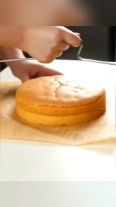 Alat Pemotong Kue/Pengiris Kue