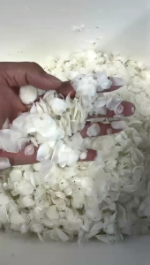 🇲🇾500g深海干鱼鳞养颜补钙 500g deep sea dried fish scales for beauty and calcium