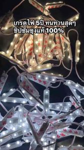 Led Module 2835 Chiip Samsung แท้ Dc12v 1.2w 3led IP68 170° เกรดไฟ5ปี สินค้ารับประกัน3ปี (1มัดมี 50ดวง) ส่งจากประเทศไทย 🇹🇭