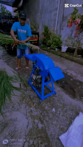 MESIN CACAH RUMPUT JET COLET ( SIAP PAKAI DEASEL BENSIN 6.5PK )