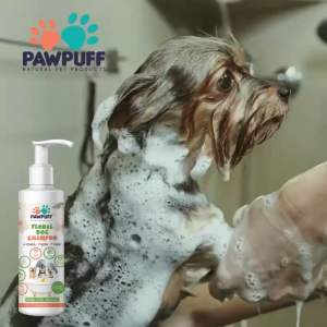 PAW PUFF Floral Pet grooming Shampoo 5 liter