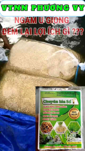 COMBO 10 gói Chuyên lúa số 1 ngâm và trộn giống ra rễ hạ phèn xanh nhanh sau sạ