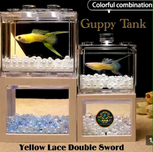 Aquarium Needs Guppy Tank for (YLDS)
