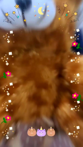 Tas Ransel Teddy Bear & Tas Boneka Bulu Mawar: Pilihan Terbaik Untuk Anak Sekolah