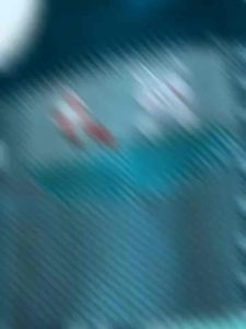 ผ้ากันเปื้อน ลายกระต่ายน้อย