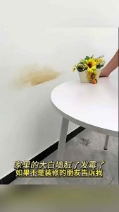 Wall repair roller paint white wall water-based clean latex paint dirty repair paint white large roller interior wall paint Dinding Putih
