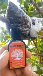 ROOT PASTE Pasta penumbuh akar tanaman untuk cangkok dan stek 30 ml