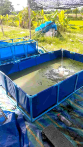 คอมพิวเตอร์ กระชังบกบ่อผ้าใบ PE 200 Super ความหนา 0.35 mm คุณภาพมาตรฐานการใช้งาน