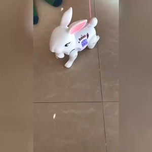 เล่นน่ารัก กระต่ายน้อยน่ารัก พร้อมเชือกจูงเดิน มีเพลง มีไฟ พร้อมเชือกจูงเดิน มีเพลง เดินได้ ของเล่นน่ารัก เล่นได้ทุกวัย