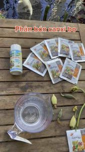 Phân bón canxi bo bón cây viên sủi pha với 25 lit nước lớn trái bóng trái đẹp hoa