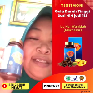Pinera57 Pinus Merah Korea Red Pine Obat Stroke Kolesterol Diabet Herbal Obat Asam Urat Diabetes