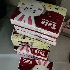 TATA FACIAL TISSUE TRAVEL PACK 70 SHEET 2 PLY