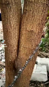 Gergaji Rantai Potong Dahan Pohon Outdoor Survival Kit Baja Anti Karat Super Tajam