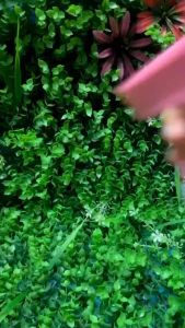 Bình Nước Hình Gấu Dâu Và Disney chính hãng cao cấp Dung Tích 1000ml [Tặng Kèm Ống Hút Dây Đeo]