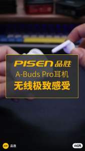 Pisen P1 True Wireless New 5.3 Bluetooth Earphone 3D Panorama Sound