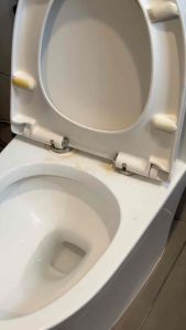 NASCO น๊อตฝาชักโครก แบบกลม N-9418 2ชิ้น/ชุด สกรูและน็อตฝาชักโครก น๊อต ชักโครก มีแหวนรอง สแตนเลส