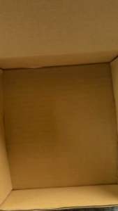Bini Mikha Lim Merch Box Kit for Blooms Perfect for Gift and Giveaways