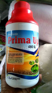 Obat Rumput Herbisida Prima Up 480sl 1liter