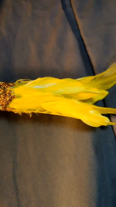 tongkat tari Dayak Papua tarian adat untuk karnaval bisa untuk anak dan dewasa request warna dan ukuran