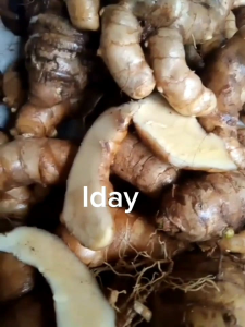 temu putih seger asli obat herbal tradisional BELI 3KG+250G BONUS