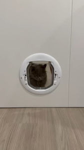 เลือก "ประตูสัตว์เลี้ยง ประตูแมว ภายในบ้าน ภายนอกบ้าน ประตูแมวเข้าออกห้องนอน, ประตูออกนอกบ้าน