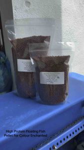 Protein 38%-High Protein Floating Fish Pellet For Fast Red/ Color Enchanted 3.3mm (500g /1000g) Suitable for Goldfish Koi Arowana Red Parrot Guppy Flower HornDiscus Parrot Cichild Tilapia