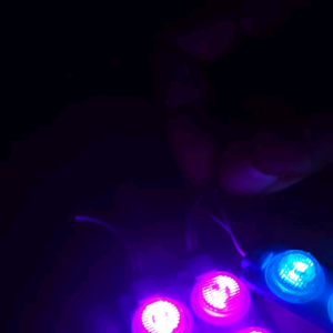 LAMPU SERBAGUNA LED MODUL 3 MATA DC 12V-DC 24V 3Watt.