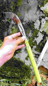 Pisau Sadap Thailand Hijau Baja Paku Rel/Pandrol