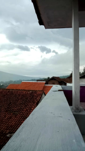 Alat Pertanian Baja Asli: Sabit Pertanian & Arit Rumput Siap Pakai