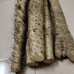 Hoài sơn củ mài  tươi hàng dẻo nhớt ngon hàng trồng loại 1 trồng ở đất cát gần biển hàng Việt Nam chánh phẩm
