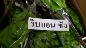 ใบบัว เกษรบัว ฝักบัว ใบบัวปลอม เกษรบัวปลอม ฝักบัวปลอม ก้านดอกไม้ เทปพันก้าน ใบแซม ดอกแซม ผงหญ้าเขียว