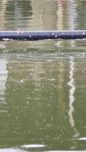 pelampung jarum untuk mancing ikan mas lomba mancing harian Galapung Galatama uk. (789) cm