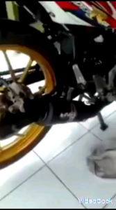 KNALPOT PROLINER DOP SATRIA R15 GSX CB150R BYSON VIXION MX VERZA SCORPIO MP SONIC SUPRA GTR DLL