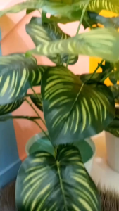 Tya Bag Store - Tas Selempang Wanita Import H308 - Slingbag Cewe