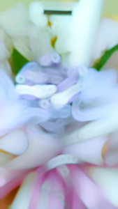 Mini Buket Money Rose 10 Lembar Uang Asli 10.000 Wisuda Hari Guru Teachers Day