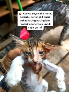 Original Spray Kucing (Ubax) Kutu Hama Kurap & Anti Serangga
